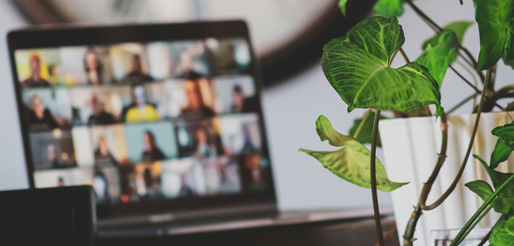 A plant with a session of Get Started, an online business training from Elevate Hennepin, in the background. 