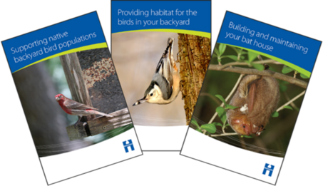 Bird and bat pamphlets