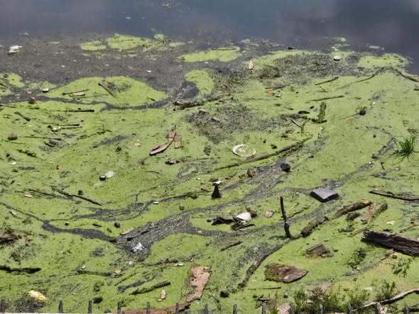 yucky water