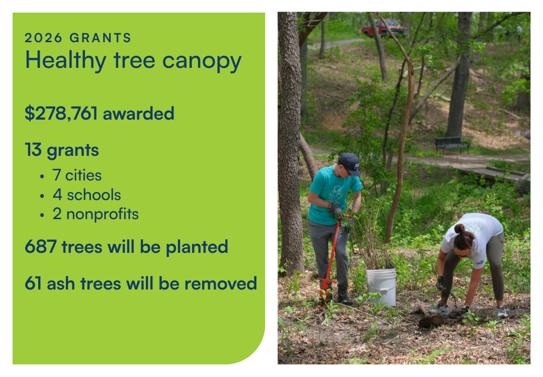 Decorative infographic with info included in article. Image of people planting seedling trees. 