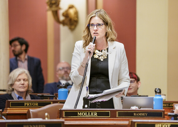 Rep. Kelly Moller speaks on the House Floor