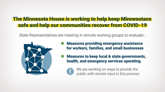 MN House Proposals