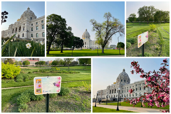 Capitol Photos