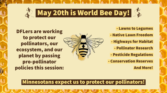 World Bee Day