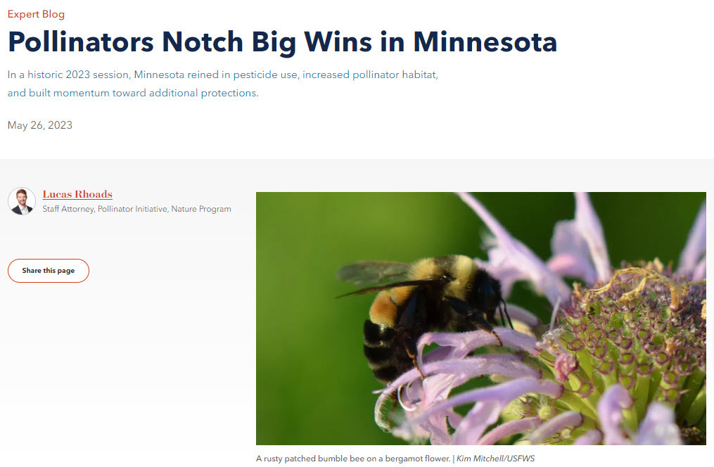 Pollinator Article