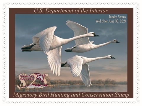 Duck Stamp