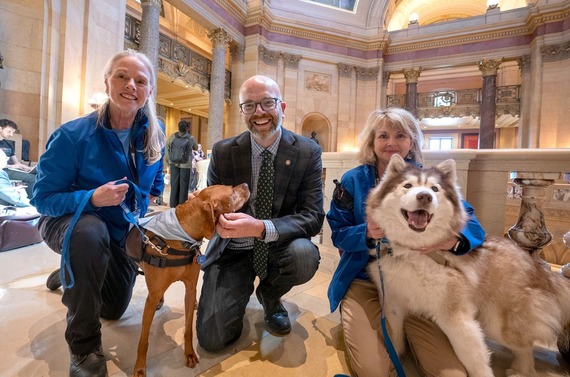 Therapy Dogs