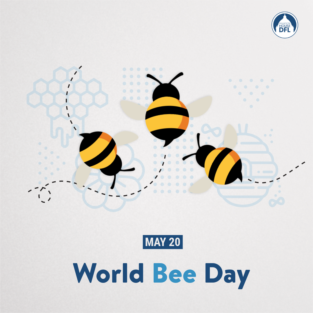 World Bee Day 2025