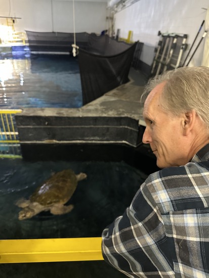 Bierman with Snooki the Sea Turtle