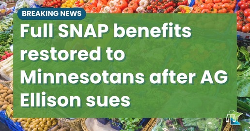 Ellison SNAP Graphic