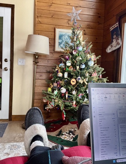 Rep. Youakim working at home.