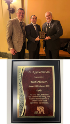 Hansen AURI Pictures