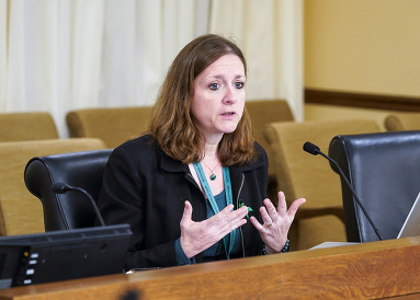 Luger-Nikolai in Committee