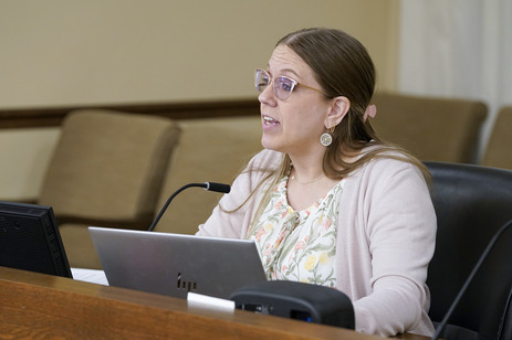 Hanson testifying in committee