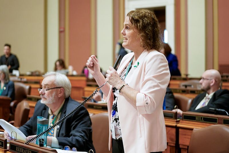 REHRAUER GIVING A SPEECH ON THE HOUSE FLOOR
