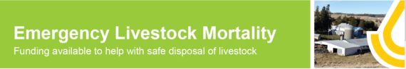 Livestock Mortality Flyer Link 