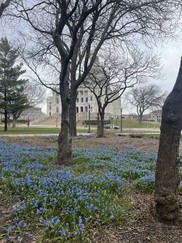 Spring flowers at the Capitol