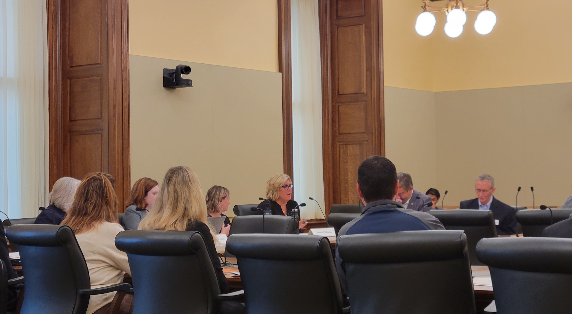 RELEASE Rep. Gillman Elected Vice Chair of the Infrastructure