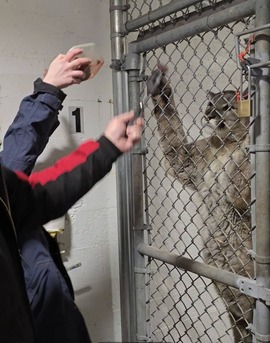 Zoo