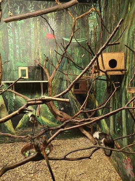 Zoo