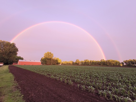 God's Promise