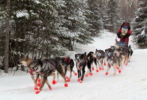 John Beargrease Sled Dog Marathon