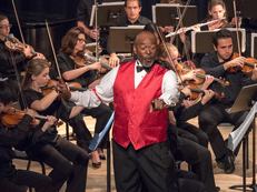 Northern Lights Music Festival concert