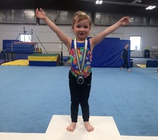 Northern Twistars Gymnast