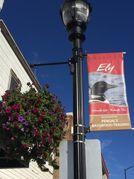 Ely Banner