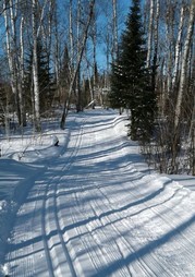 Pincushion Nordic Ski Trail