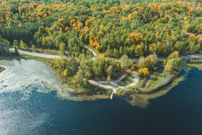 Edge of the Wilderness