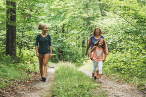 Edge of the Wilderness