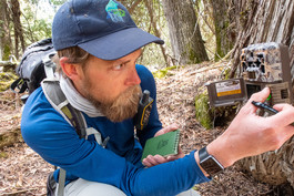 Voyageur Wolf Project