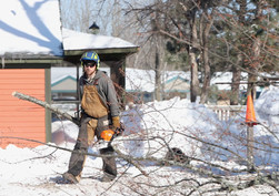 Dutchman Tree Service