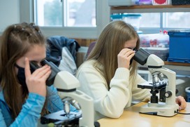 Next Career Pathways