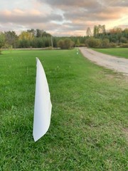 Paul Bunyan Broadband