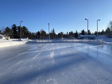 Pine Grove Park Skating Rink