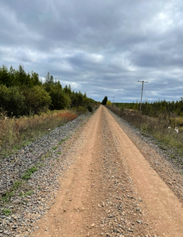 Alborn/Pengilly Trail