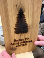 Field Township Plant Identification Sign