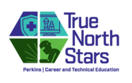 True North Stars Logo