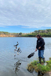 Fish Stocking, St. James Pit, Aurora
