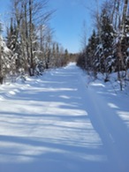 Yukon Snowmobile Trail