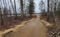 Trail at Carey Lake Park, Hibbing