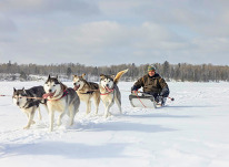 Adaptive Adventure Programs - Dog Sledding