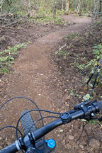 Pincushion Mountain’s bike trail after improvements