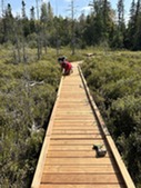 Chik-Wauk Trail