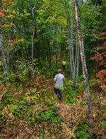 Eveleth Trail Hawks Snowmobile Club's three-mile trail connector project