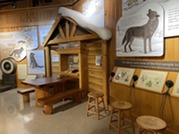 Little Wolf Exhibit, Ely