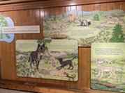 Mural, Little Wolf Exhibit, Ely