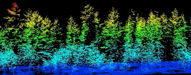 lidar image of forest trees